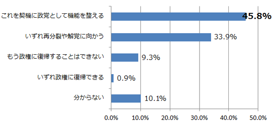 民主党の将来について、現時点でどう思っていますか